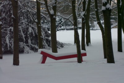 Agrandir l'image 11 sur 11, fenêtre modale