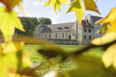 Agrandir l'image 1 sur 9, fenêtre modale