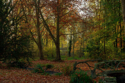 Agrandir l'image 8 sur 11, fenêtre modale