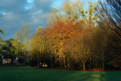 Agrandir l'image 6 sur 11, fenêtre modale