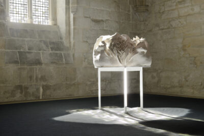 Agrandir l'image 4 sur 21, fenêtre modale