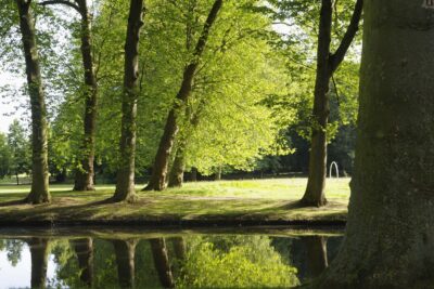 Agrandir l'image 1 sur 8, fenêtre modale