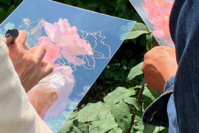 Agrandir l'image, fenêtre modale