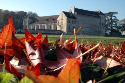 Agrandir l'image 3 sur 11, fenêtre modale