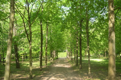 Agrandir l'image 4 sur 11, fenêtre modale