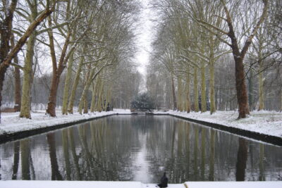 Agrandir l'image 3 sur 8, fenêtre modale