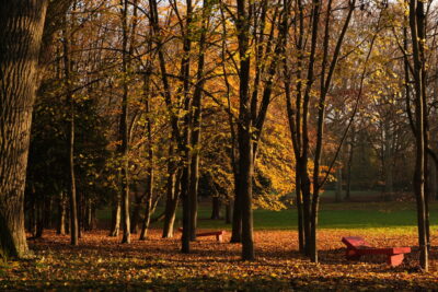 Agrandir l'image 6 sur 11, fenêtre modale