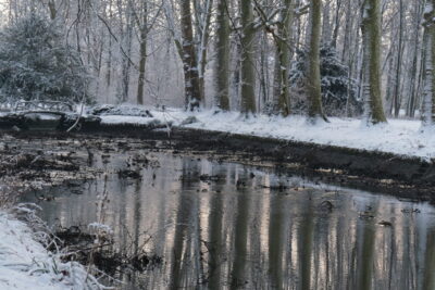 Agrandir l'image 6 sur 8, fenêtre modale