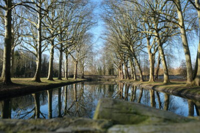 Agrandir l'image 2 sur 8, fenêtre modale