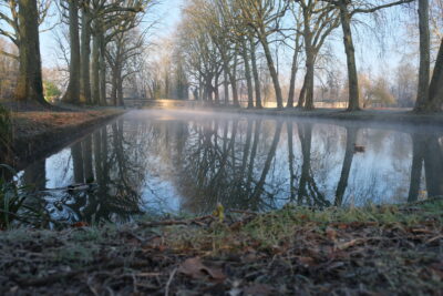 Agrandir l'image 7 sur 8, fenêtre modale