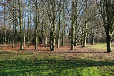 Agrandir l'image 10 sur 11, fenêtre modale