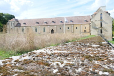 Agrandir l'image 9 sur 11, fenêtre modale