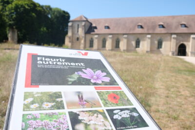 Agrandir l'image 11 sur 11, fenêtre modale