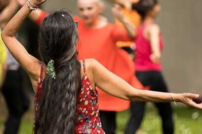 Agrandir l'image, fenêtre modale